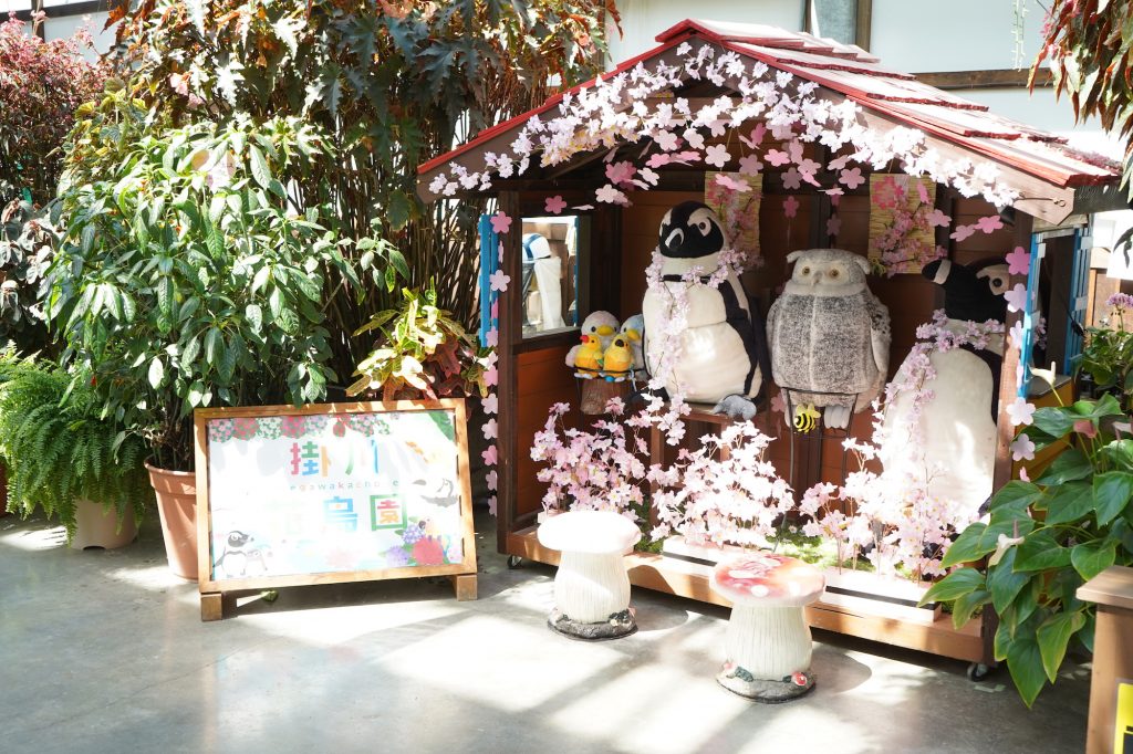 掛川花鳥園の撮影スポット