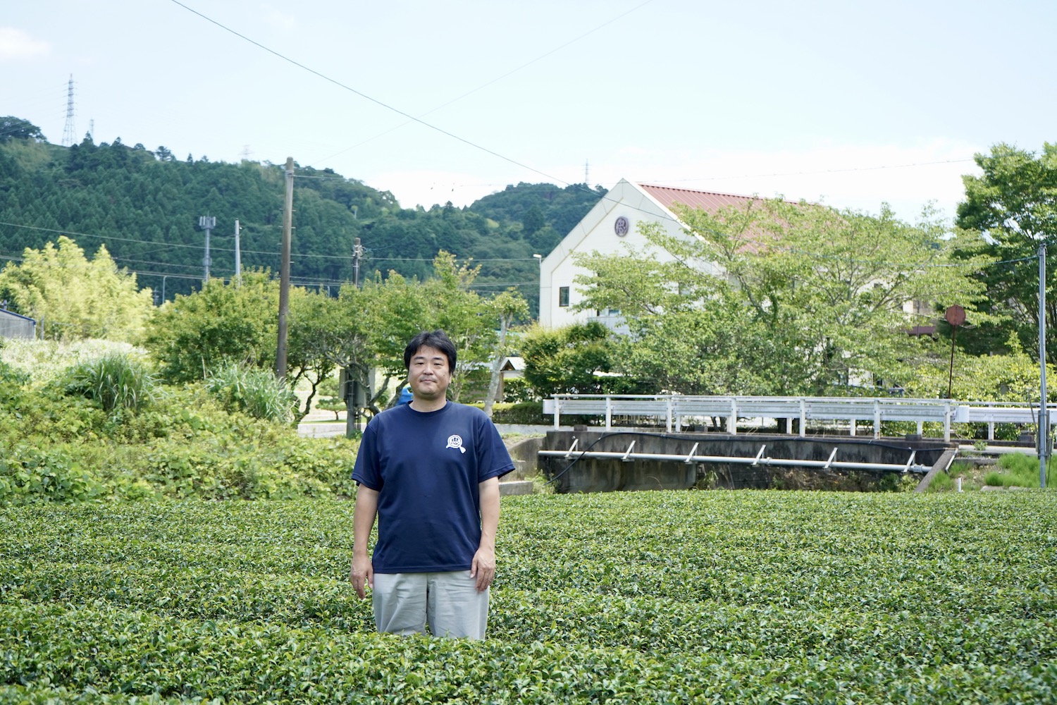 掛川茶を世界に！オーストラリアから移住し、大塚製茶で働く杉原さんにお話を聞いてきました。